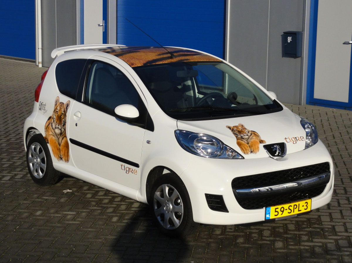 Autoreclame Full Colour op Peugeot 107